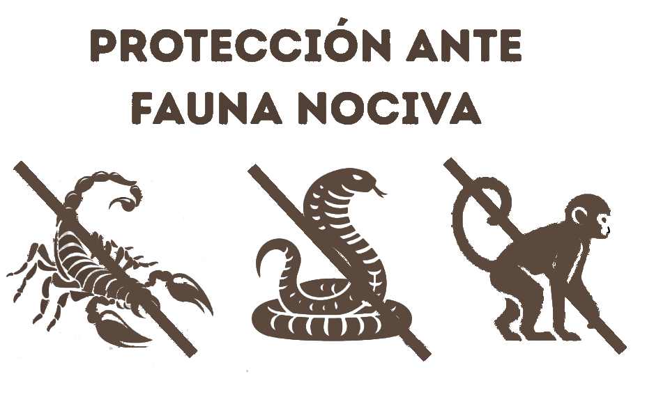 Protección ante fauna nociva